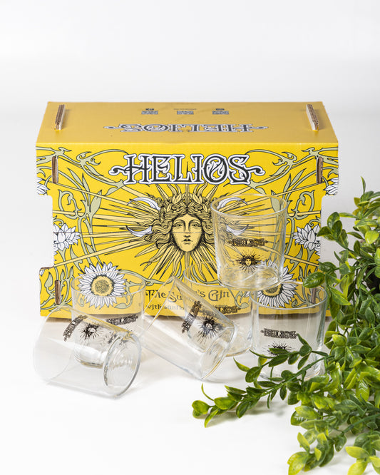 SET 6 BICCHIERI RETRO TUMBLER BASSI