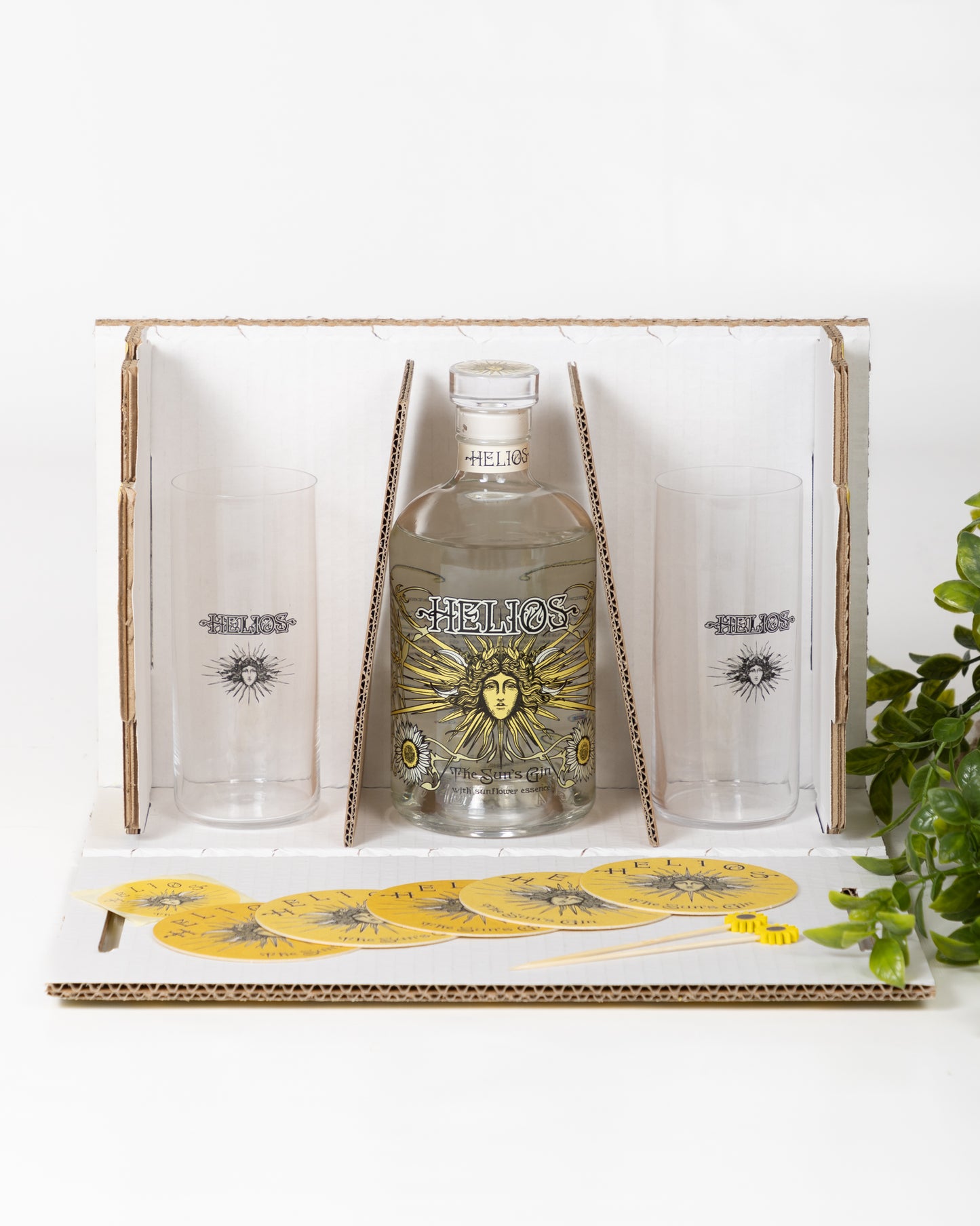 BOX HELIOS NOVA