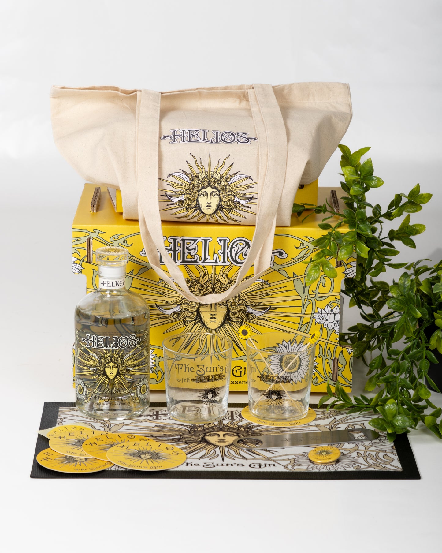 MAXI BOX HELIOS ZENITH